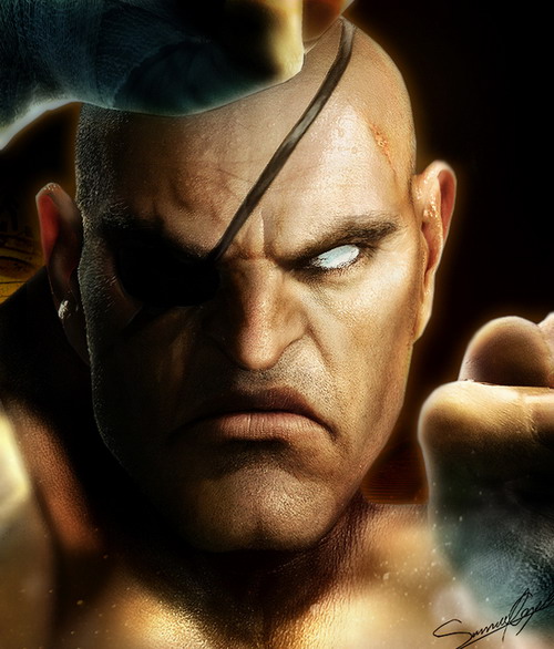 Герои Street Fighter в HD обработке